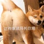 老婶酱-老婶的菜单 - 仅收录精品的小站