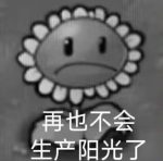 lslbw-老婶的菜单 - 仅收录精品的小站