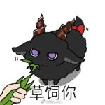来了来了-老婶的菜单 - 仅收录精品的小站
