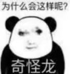Allocen-老婶的菜单 - 仅收录精品的小站