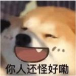 空城k初心-老婶的菜单 - 仅收录精品的小站